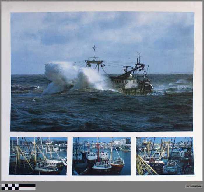 Fotoafdrukken zeevisserij Zeebrugge