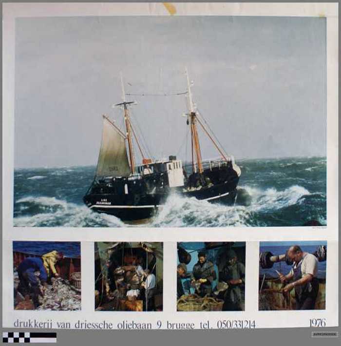 Fotoafdrukken van Zeebrugse zeevisserij - Z.562