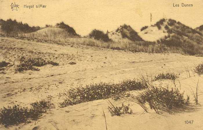 Heyst s/Mer, Les Dunes