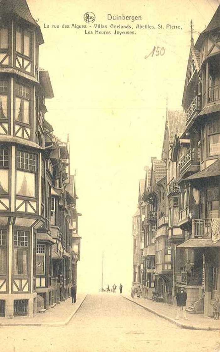 Duinbergen, La rue des Algues, Villa Goelands, Abeilles, St. Pierre, Les Heures Joyeuses