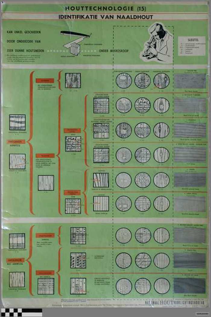 Houttechnologie (15) - Identificatie van naaldhout.