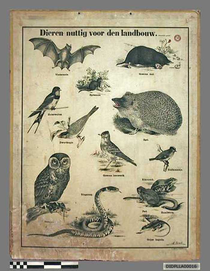 Dieren nuttig voor den landbouw.