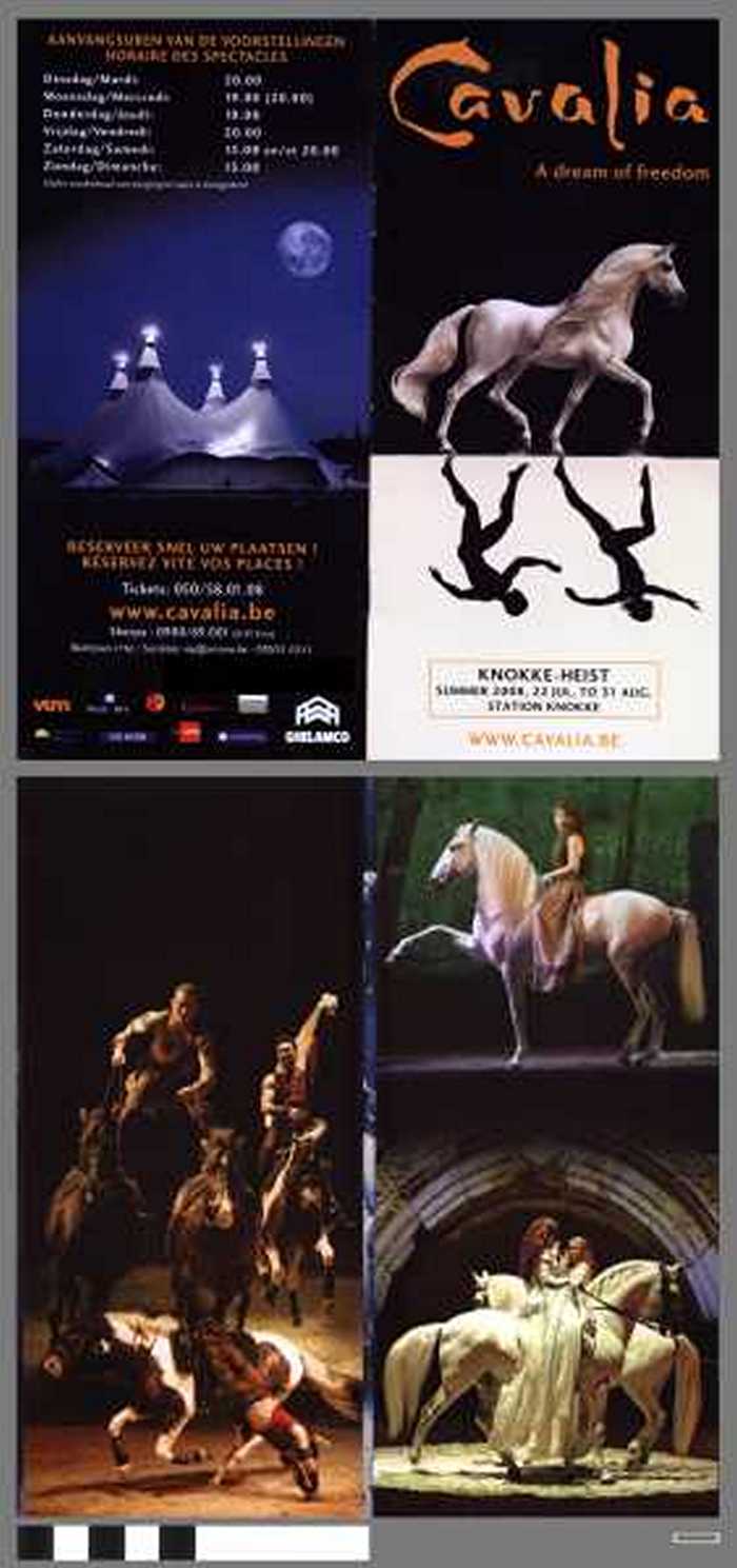 Cavalia A dream of freedom