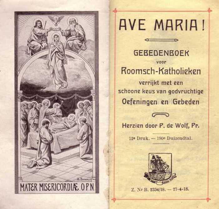 Boek: Ave Maria