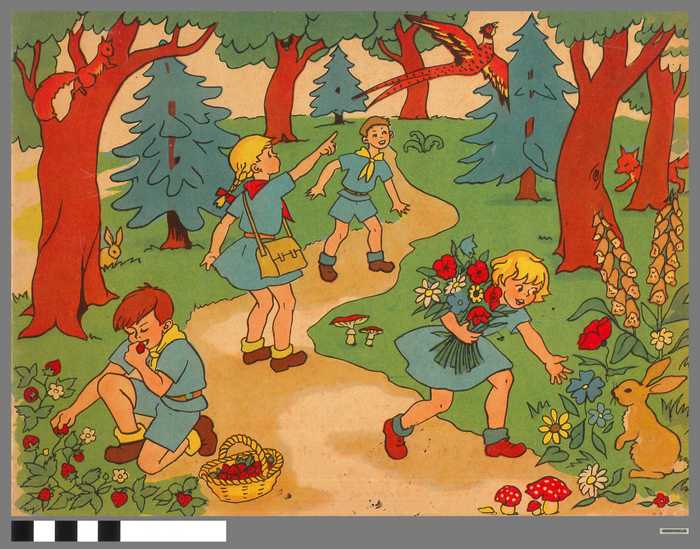 Kleurboek: Scouts in het bos