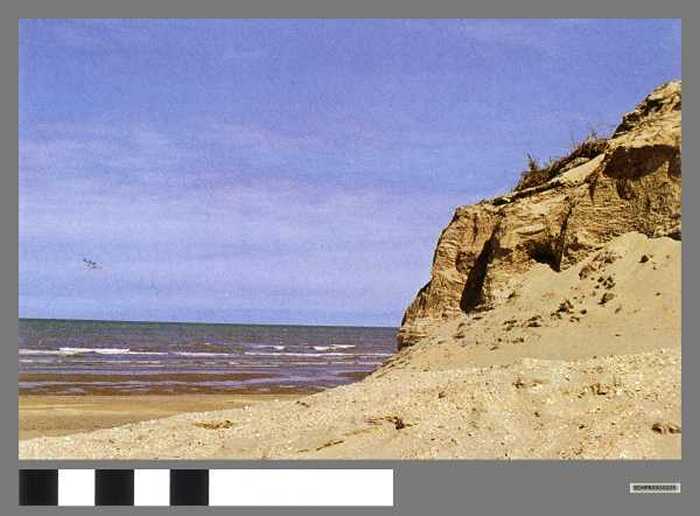 Zwinmonding, duinen - Entrée du Zwin- dunes